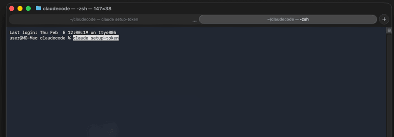 Команда setup-token в терминале